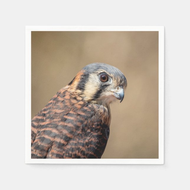 Serviette En Papier Kestrel américain (Devant)