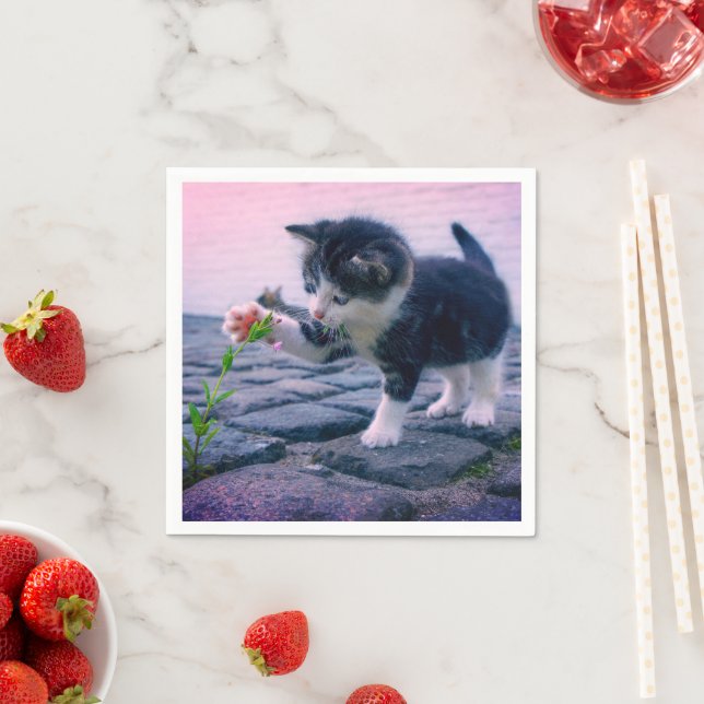 Serviette En Papier Kitten (En situation)