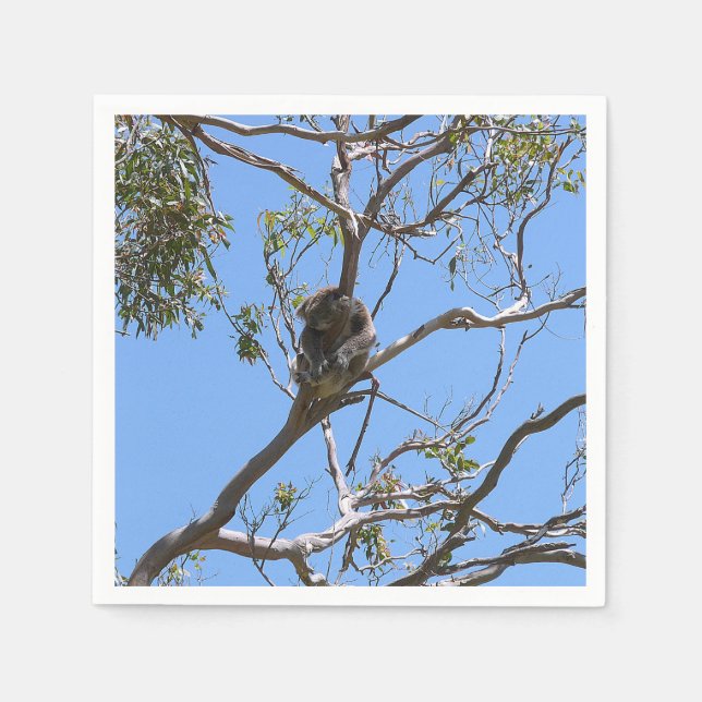 Serviette En Papier Koala Nap (Devant)