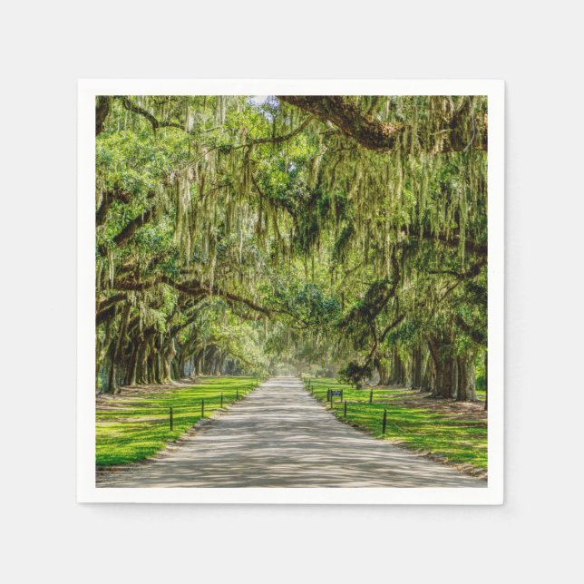 Serviette En Papier La Belle Avenue Des Chênes (Devant)