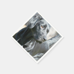 Serviette En Papier Laboratoire noir