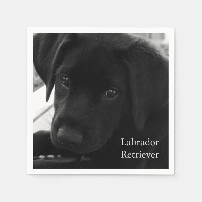 Serviette En Papier Labrador Retriever Puppy (Devant)
