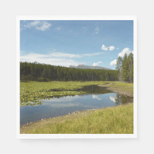 Serviette En Papier Lac Swan I dans le parc national de Grand Teton