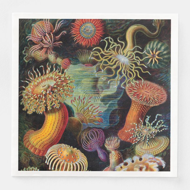 Serviette En Papier L'art de la nature par Ernst Haeckel (Devant)