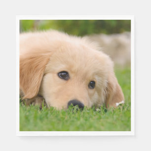 Serviette En Papier Le chiot mignon de golden retriever rêve la photo