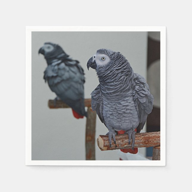 Serviette En Papier Le perroquet gris du Congo en miroir (Devant)