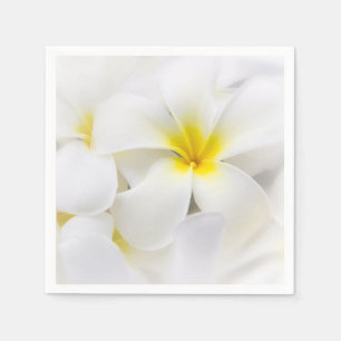 Serviette En Papier Le Plumeria fleurit la fleur florale de Frangipani