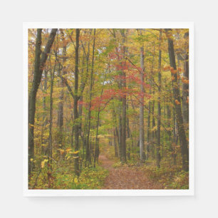 Serviette En Papier Le sentier Laurel Hill à l'automne
