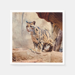 Serviette En Papier léopard nébuleux image nature faune exotique