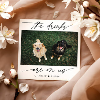 Serviette En Papier Les boissons modernes sont sur nous Photo pour ani