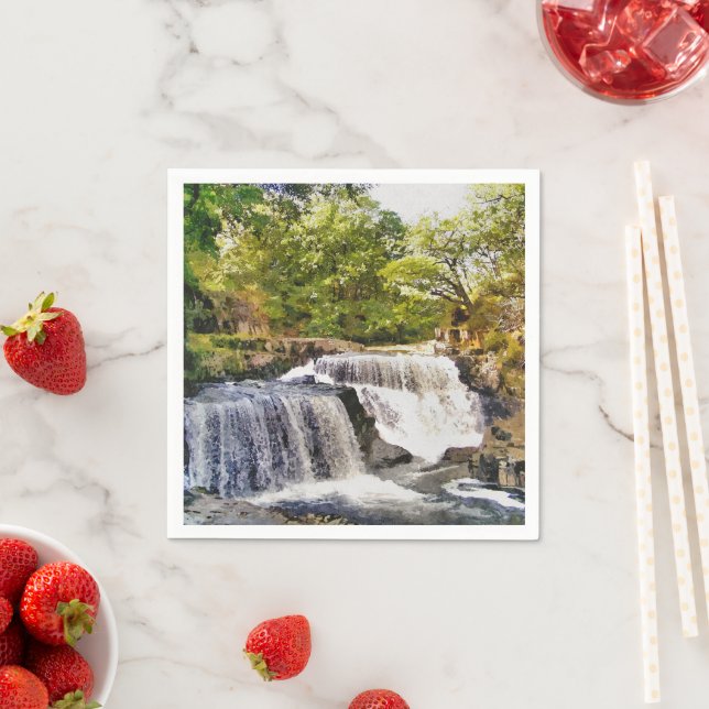 SERVIETTE EN PAPIER LES CHUTES D'EAU (En situation)