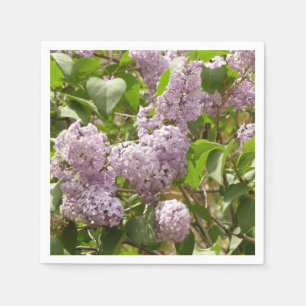 Serviette En Papier Lilac Bush Belles fleurs de printemps violettes