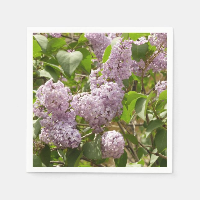 Serviette En Papier Lilac Bush Belles fleurs de printemps violettes (Devant)
