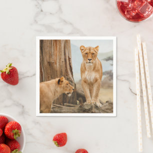 Serviette En Papier Lions