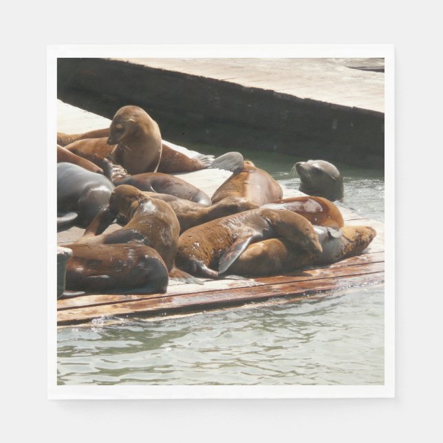 Serviette En Papier Lions de mer au soleil à San Francisco (Devant)