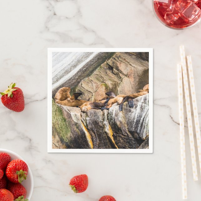 Serviette En Papier Lions De Mer Posés Sur Les Rochers (En situation)