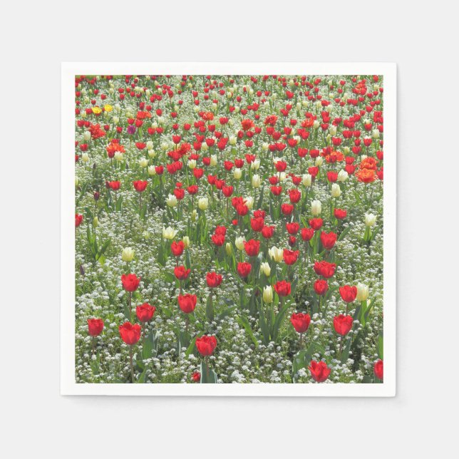 Serviette En Papier Lit de tulipes (Devant)