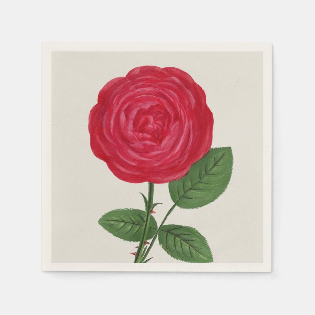 Serviette En Papier Lithographie de rose ancienne, François-Frédéric G (Devant)