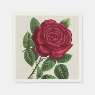 Serviette En Papier Lithographie de rose antique, François-Frédéric Gr
