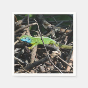 Serviette En Papier Lizard Photo Cocktail Papier à cocktails Napkins