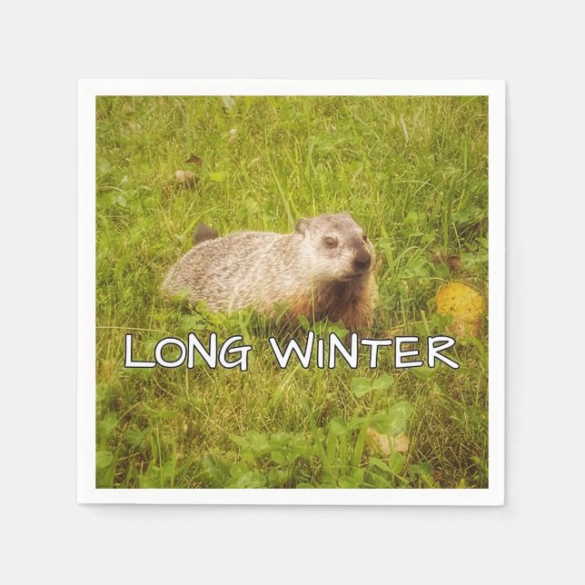 Serviette En Papier Longues serviettes d'hiver (Devant)