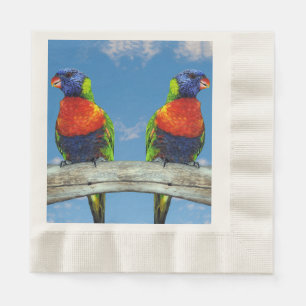 Serviette En Papier Lorikees arc-en-ciel deux perchés sur une branche