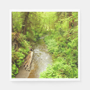 Serviette En Papier Lost Man Creek II à Redwood National Park