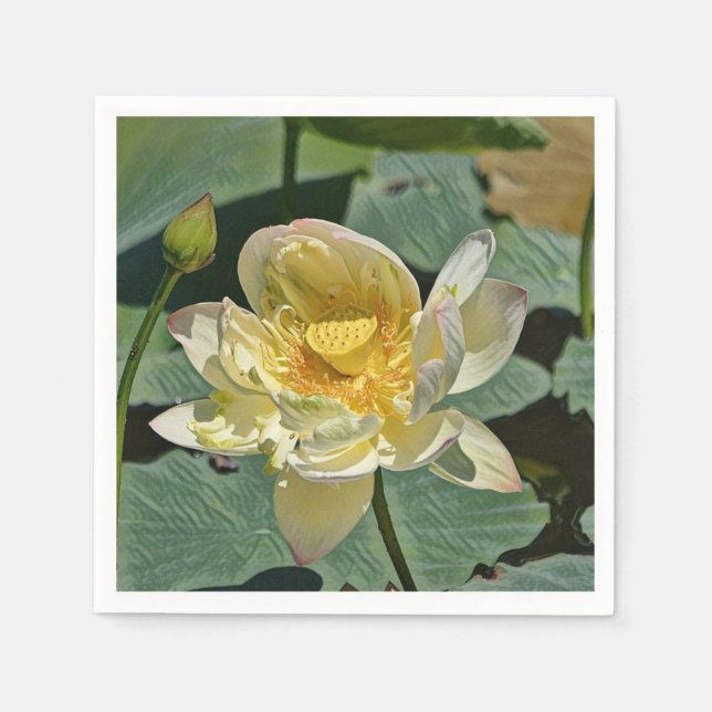 Serviette En Papier Lotus Blossom (Devant)