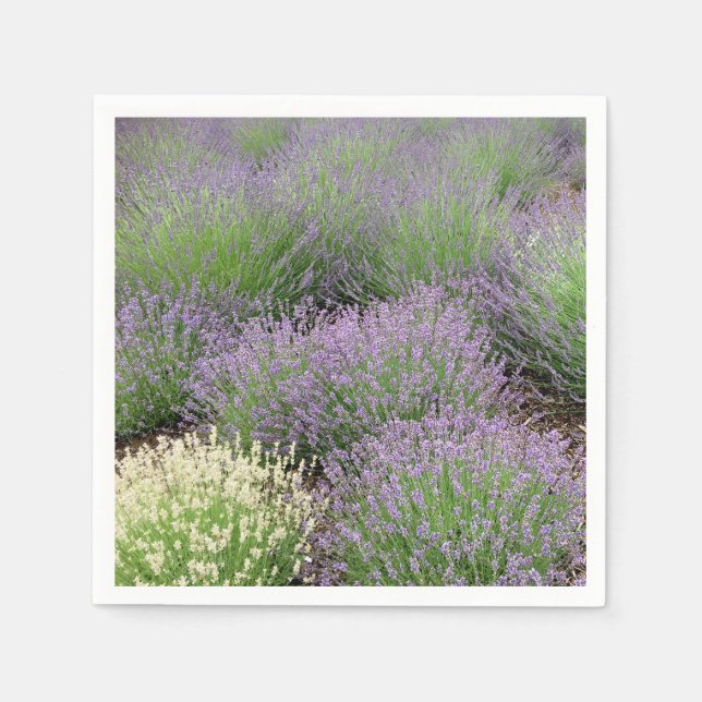 Serviette En Papier Lovely Lavender (Devant)
