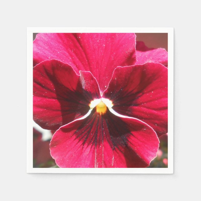 Serviette En Papier Lucrezia (Devant)