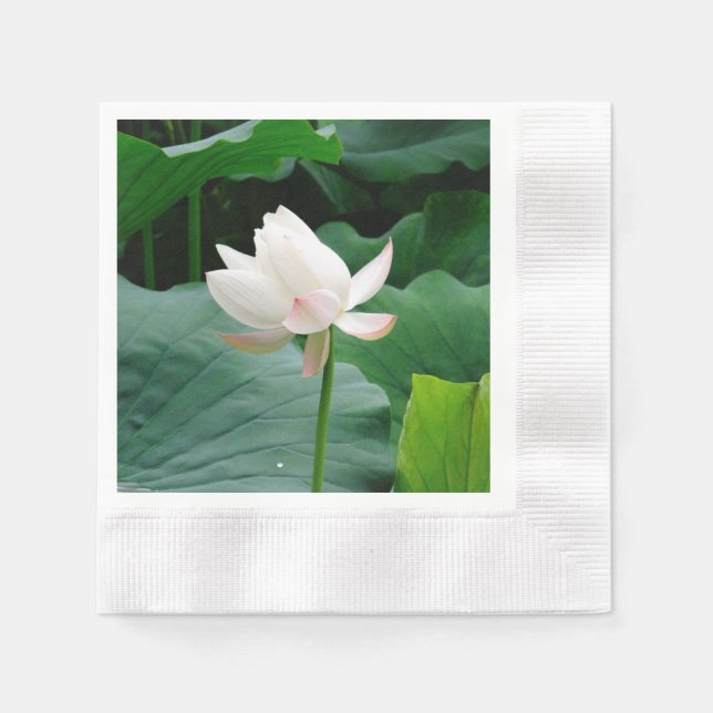 Serviette En Papier Lys d'eau blanche (Devant)