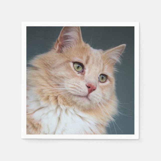 Serviette En Papier M. Handsome (Devant)