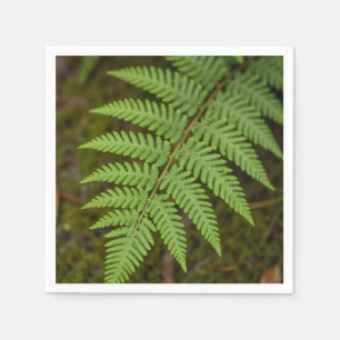 Serviette En Papier Macro Forêt Fougère Feuille Vert Luxuriant Nature