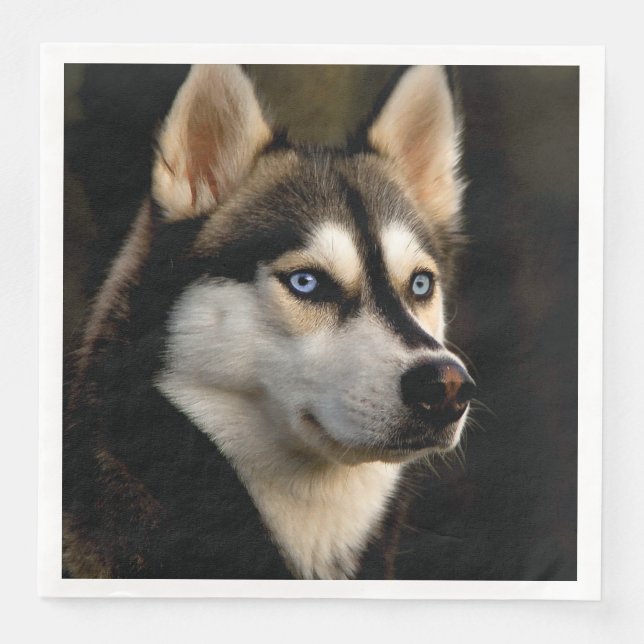 Serviette En Papier Magnifique Coussin de Lancement Husky (Devant)