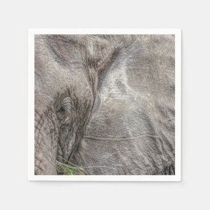 Serviette En Papier Magnifique Elephant Cocktail Napkins