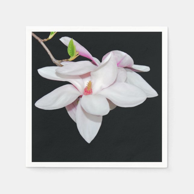 Serviette En Papier Magnolia blanc (Devant)