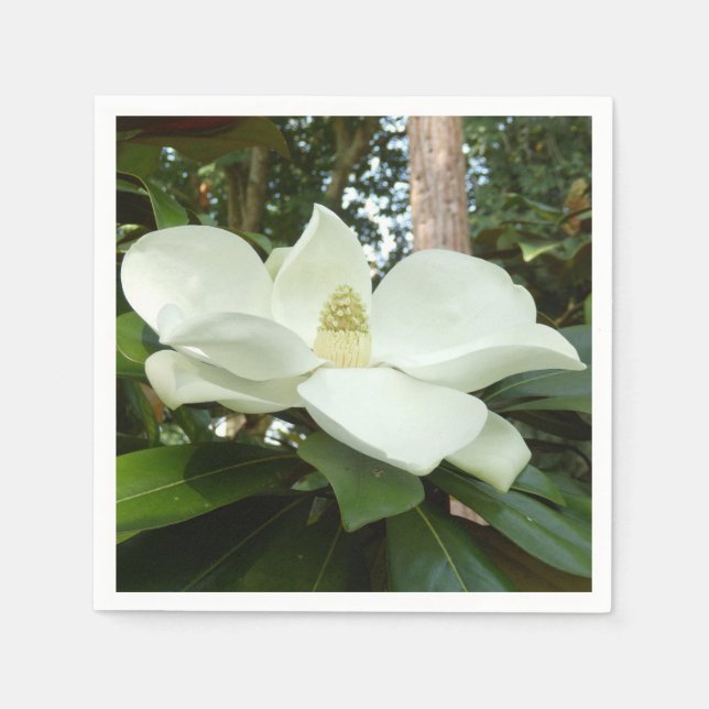 Serviette En Papier Magnolia Grandiflora Papier Naples (Devant)