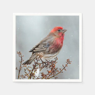 Serviette En Papier Maison Finch en Neige - Photo originale