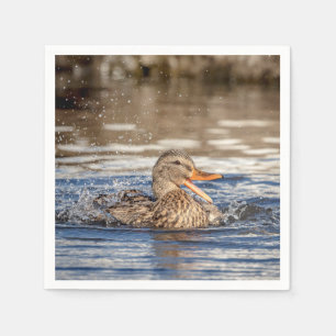 Serviette En Papier Mallard Duck à Downing Park