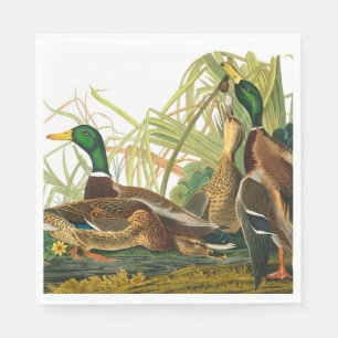 Serviette En Papier Mallard Duck par John James Audubon