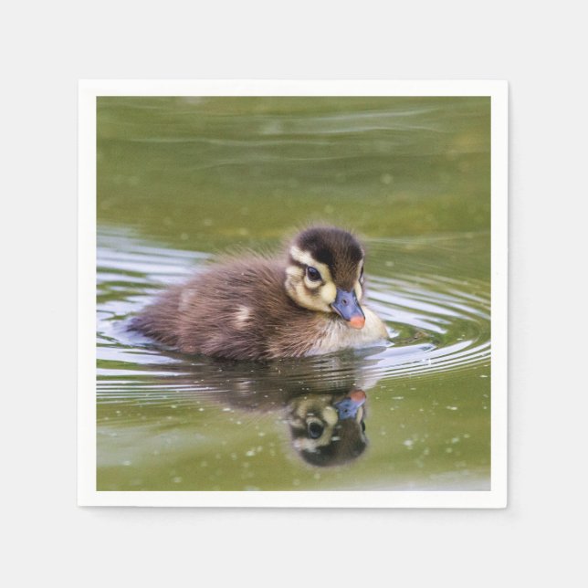 Serviette En Papier Mallard Duckling (Devant)