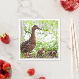 Serviette En Papier Mallard et Ducklings par Shirley Taylor