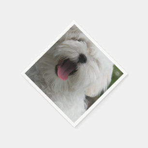 Serviette En Papier maltese-2