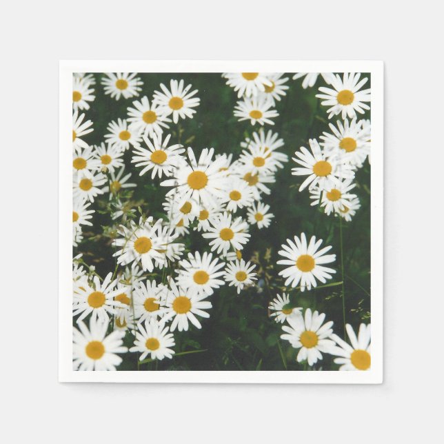 Serviette En Papier Marguerite commune Prairie (Devant)