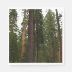 Serviette En Papier Mariposa Grove dans le parc national de Yosemite