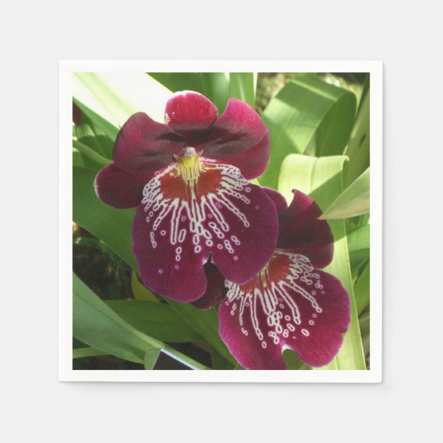 Serviette En Papier Maroon Orchids II (Devant)