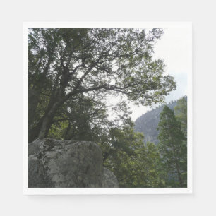 Serviette En Papier Matin sur le sentier à Vernal Falls à Yosemite