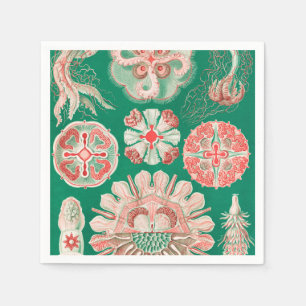 Serviette En Papier Méduse, Discomedusae par Ernst Haeckel
