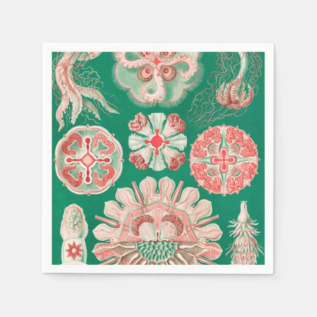 Serviette En Papier Méduse, Discomedusae par Ernst Haeckel (Devant)