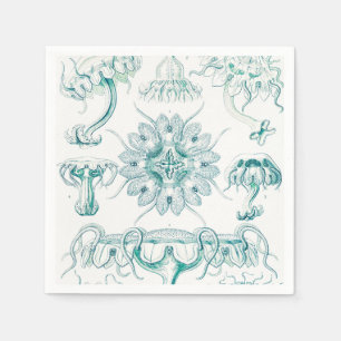 Serviette En Papier Méduses, Discomedusae par Ernst Haeckel